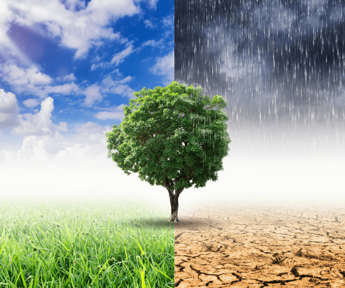 Impact of Seasonal Changes