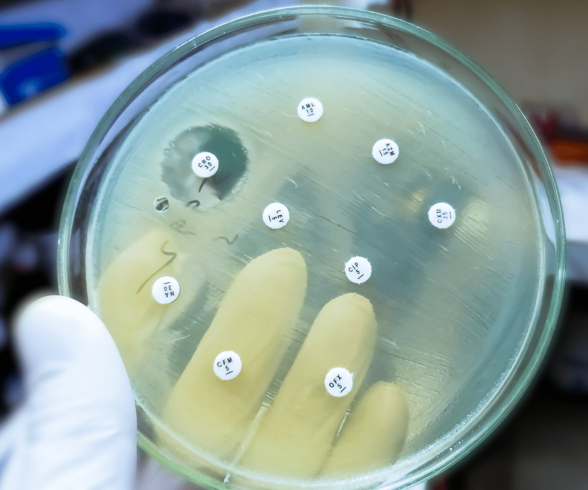 Antibiotic Resistance